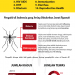 Infographics Nyamuk-01