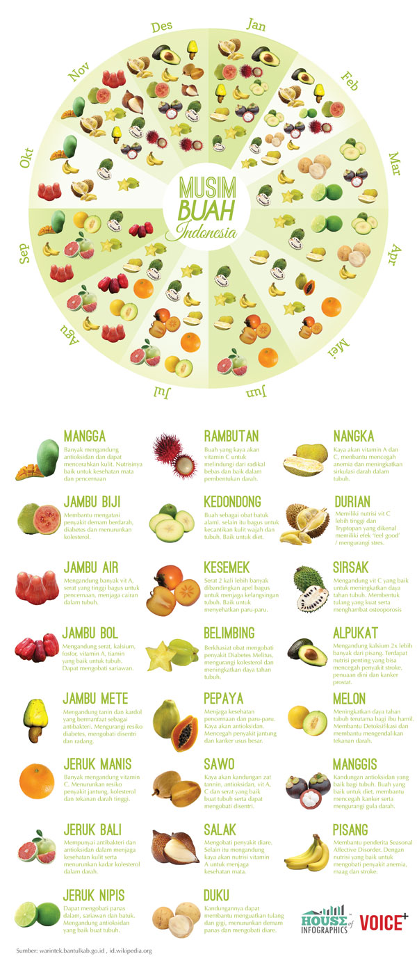 Infografis Musim Buah di Indonesia by House of Infographics