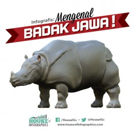 Infografis: Mengenal Badak Jawa